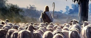 pecore-pastore-imm-ad