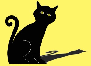 799-5103_gatto-nero