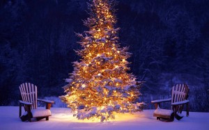 albero-natale-neve