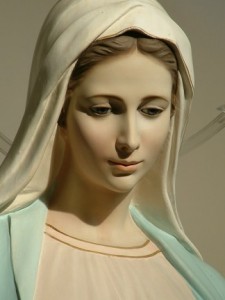 Regina pacis6