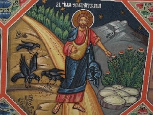 buon seminatore - zizzan 1ia