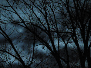 Notti senza luna