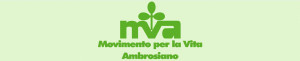 logo_MVA-960x198-new