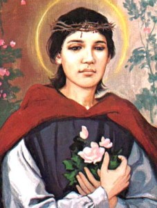 rosadalima3