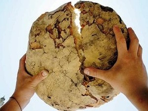 pane_spezzato_web-400x300