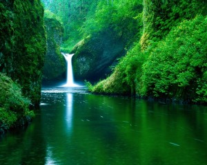 Cascada-in-Natura