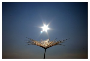 il cielo