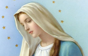 Madonna con le stelle