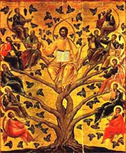 la vite e i tralci